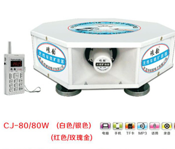 CJ-80/80Wסytõ